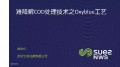 蘇伊士:難降解COD去除技術(shù)之Oxyblue臭氧生物濾池工藝(ppt)
