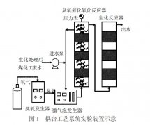 臭氧高級(jí)催化氧化+微氣泡降解有毒有害污染物研究