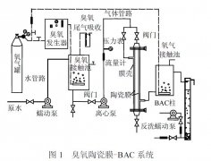 用臭氧陶瓷膜組合工藝處理污水研究