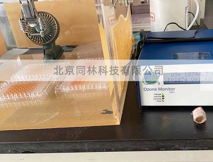 動物實驗臭氧暴露箱設計與原理